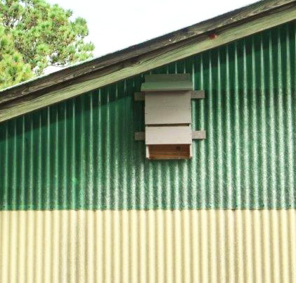 A bat house on the side of the flume building at the north end of the campus 