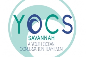 yocs-savannah