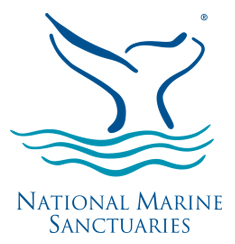 marine-sanc-logo